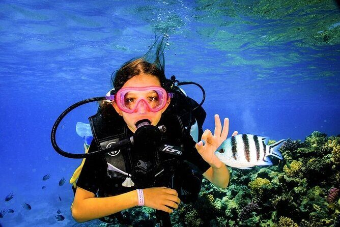 Diving for Beginner Two Dives Boat Trip with transfer in Hurghada - The Itinerary: What to Expect from This Hurghada Diving Day