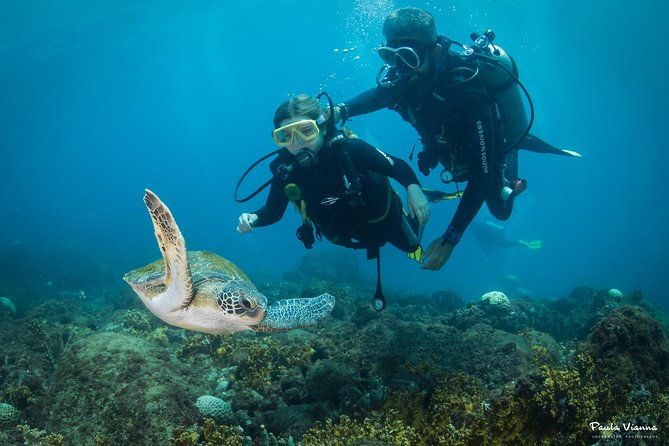 diving-for-beginners-and-accredited-buzios-rj