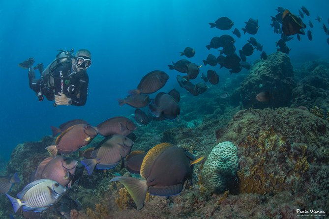 diving-for-beginners-and-accredited-buzios-rj