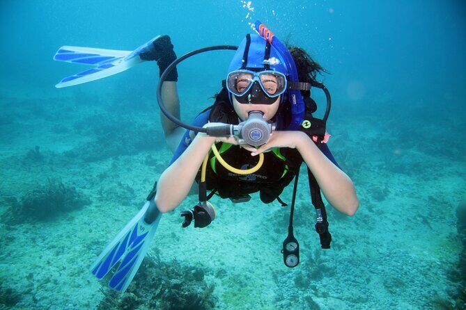 Diving Full Day 2 Stops Boat Trip For Beginners With Lunch and TransferHurghada - Who Should Consider This Tour?