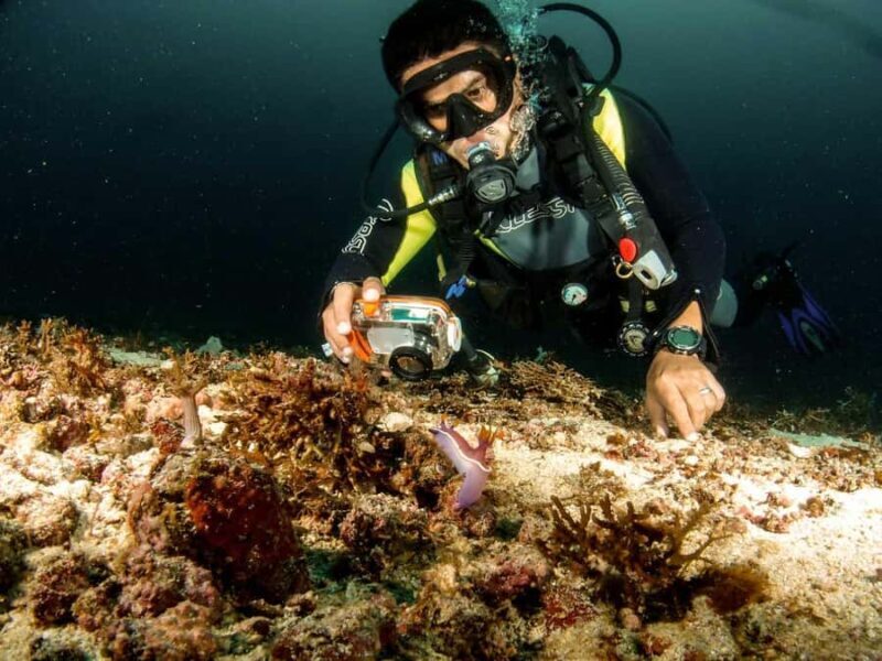 Diving in Boracay: Fundive for Certified Divers - Evaluating the Value