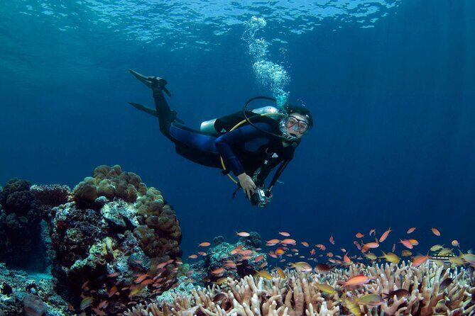Diving in Hurghada for Beginners With Lunch and Transfer - Why We Like This Tour