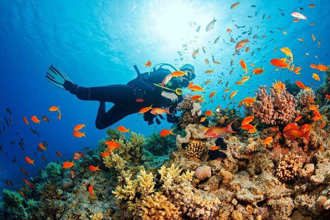 Diving in Hurghada for Beginners With Lunch and Transfer - FAQ