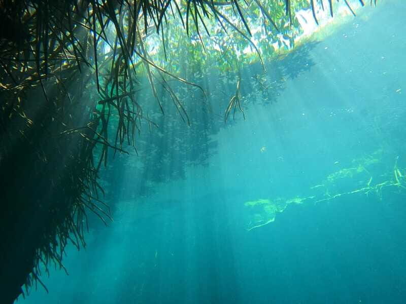 DIVING IN MAYAN CENOTES; THE LARGEST AQUIFER IN THE WORLD - Analyzing the Cost and Value