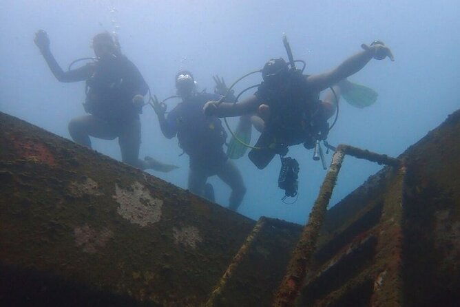 diving-in-playa-blanca-baru-with-lunch-cartagena-colombia