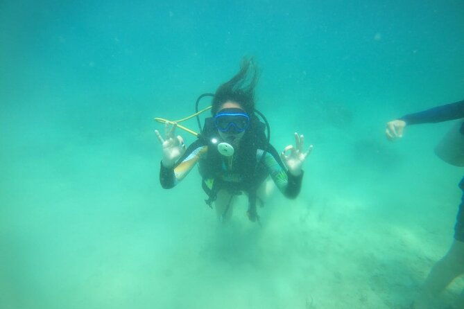 diving-in-playa-blanca-baru-with-lunch-cartagena-colombia