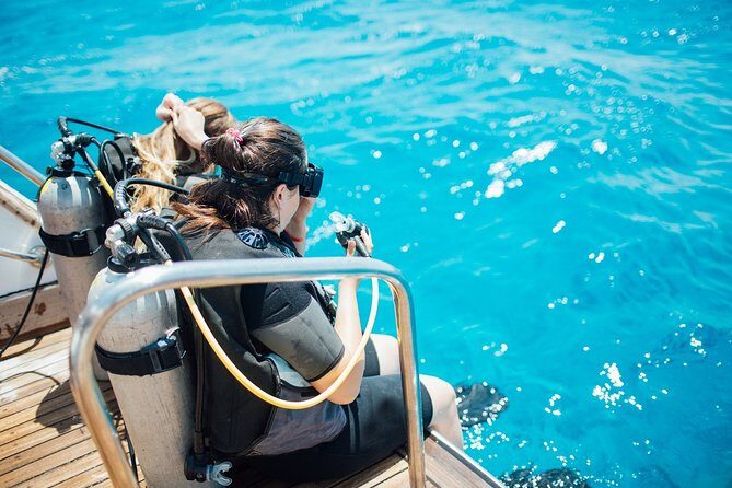 Diving in the Mediterranean sea - Introduction: What You Can Expect from the Mediterranean Sea Tour in Antalya
