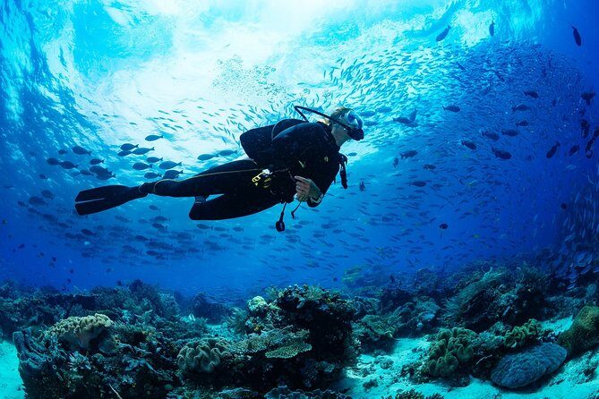 Diving in the Mediterranean sea - Who Should Book This Tour?