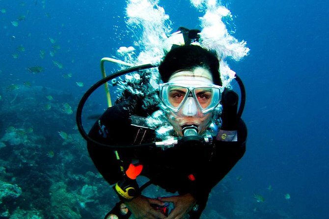 Diving in the Mediterranean sea - FAQ