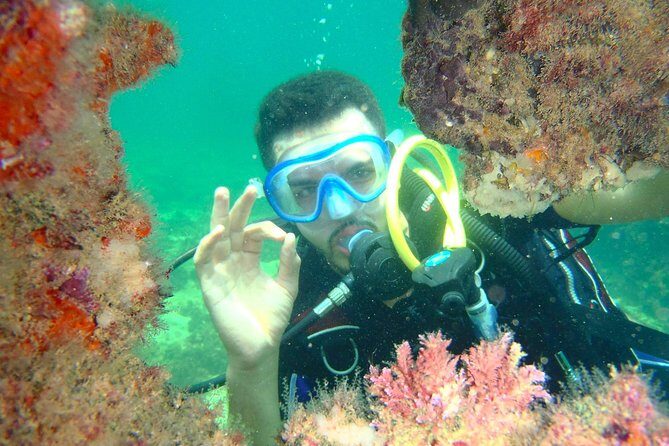 Diving initiation (Initiation) - What to Expect from the Djerba Diving Initiation Tour