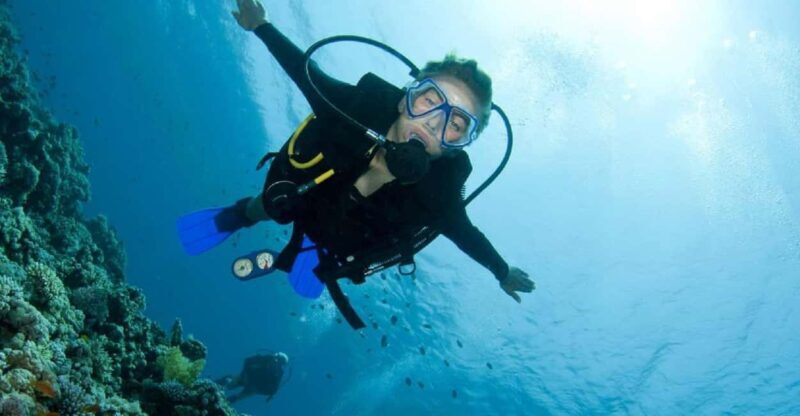 Diving Tour Exploring Alexandria's Underwater Secrets - An Inside Look at the Alexandria Underwater Diving Experience
