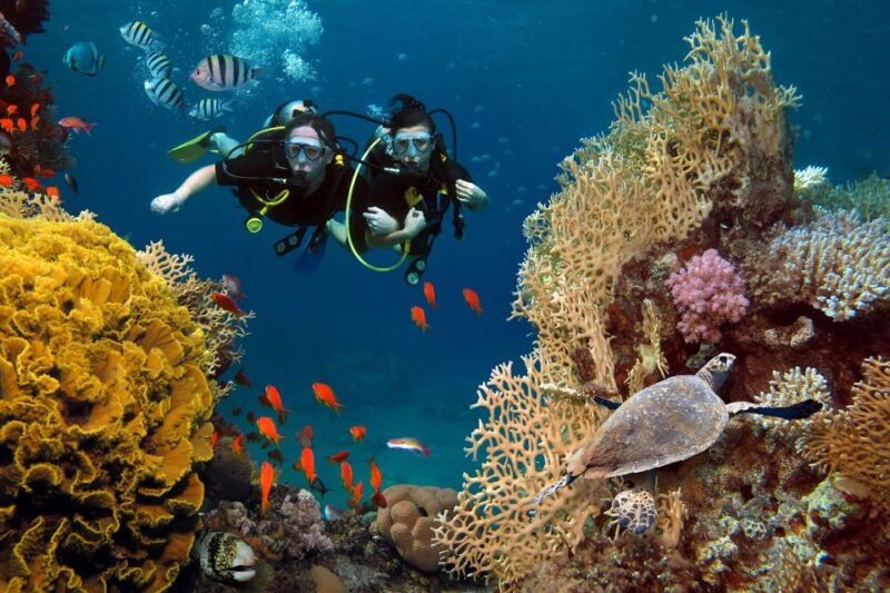 diving-tour-in-alanya