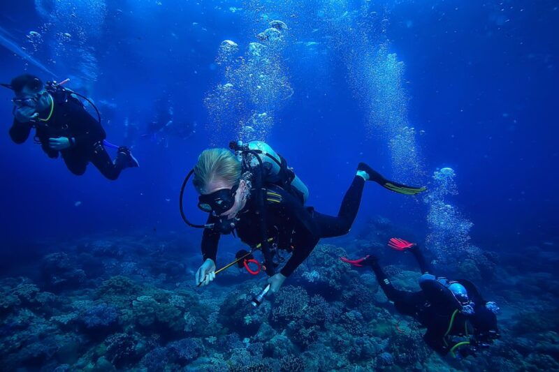 diving-tour-in-alanya