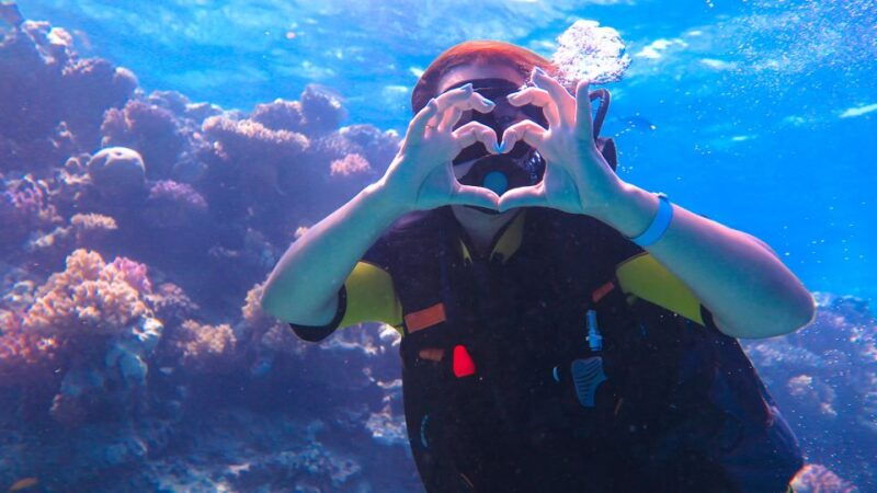 diving-tour-in-alanya