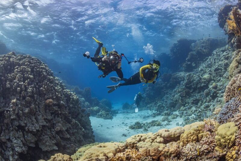 diving-tour-in-alanya