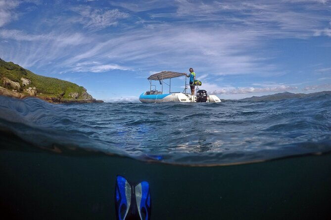 diving-with-turtles-in-floripa
