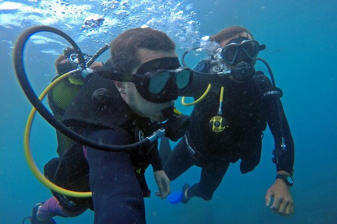 diving-with-turtles-in-floripa