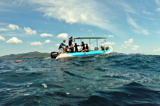 diving-with-turtles-in-floripa