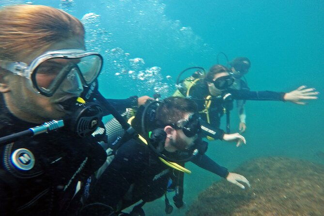 diving-with-turtles-in-floripa