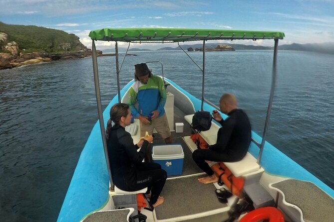diving-with-turtles-in-floripa