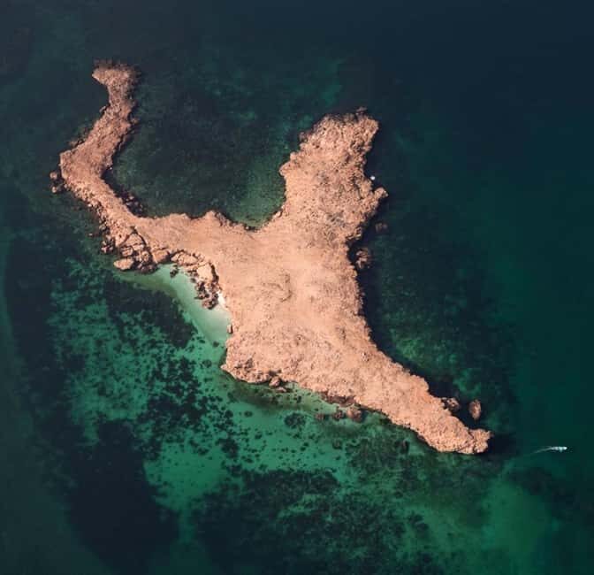 diymaniyat Snorkelling (swim whalesharks or turtles) - Who Would Love This Experience?