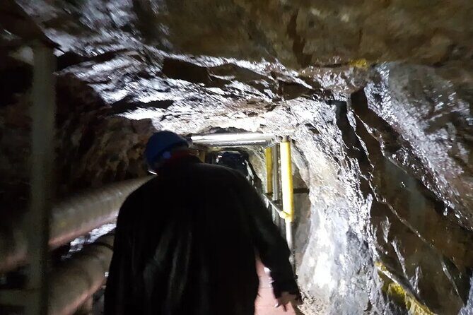 DMZ Half Day Tour Korea Border Highlights - The Sum Up