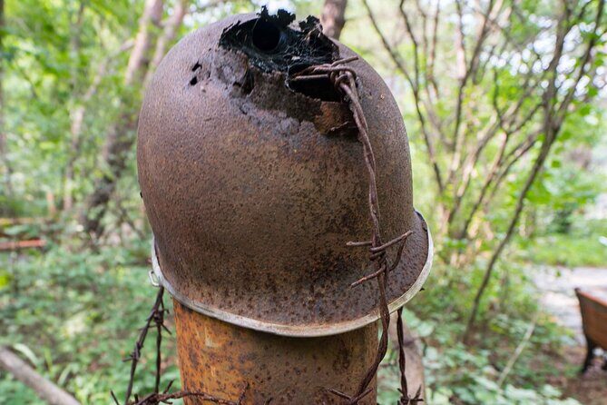 DMZ One Day Tour in Gyeonggi-do with English or Spanish - Who Should Consider This Tour?