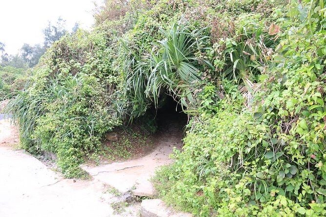 DMZ TRIP with English Speaking Driver from Hue City - An In-Depth Look at the Tour Experience