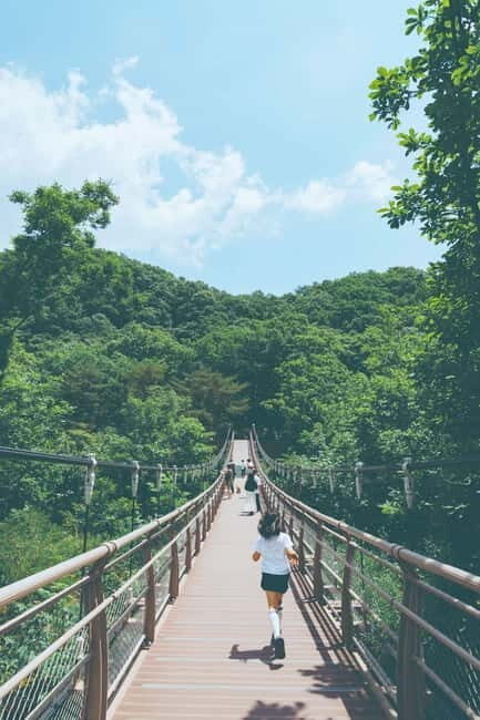 DMZTour from Seoul:3rd Tunnel,North Korea View&UNESCO Valley - Who Will Benefit Most from This Tour?  