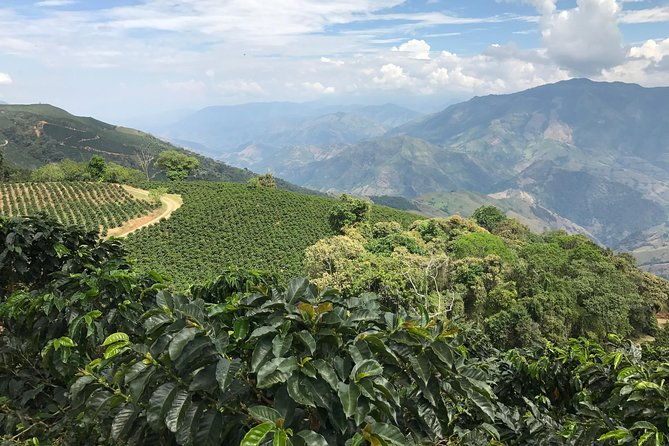 do-it-yourself-11-days-tour-in-colombia-customizable