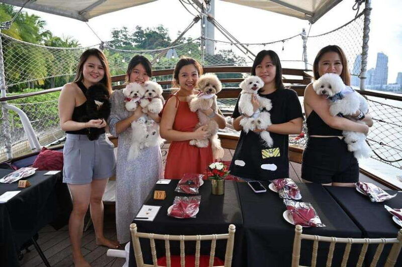 dog-cruise-onboard-a-tall-ship-with-4-course-meal