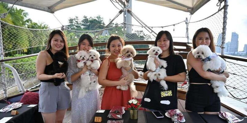 dog-cruise-onboard-a-tall-ship-with-4-course-meal