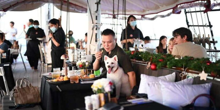 dog-cruise-onboard-a-tall-ship-with-4-course-meal