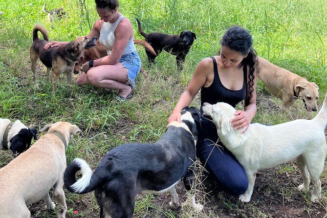 Dog Lover's guided tour of the Happy Tails Sanctuary - Introducing the Dog Lovers Guided Tour of the Happy Tails Sanctuary