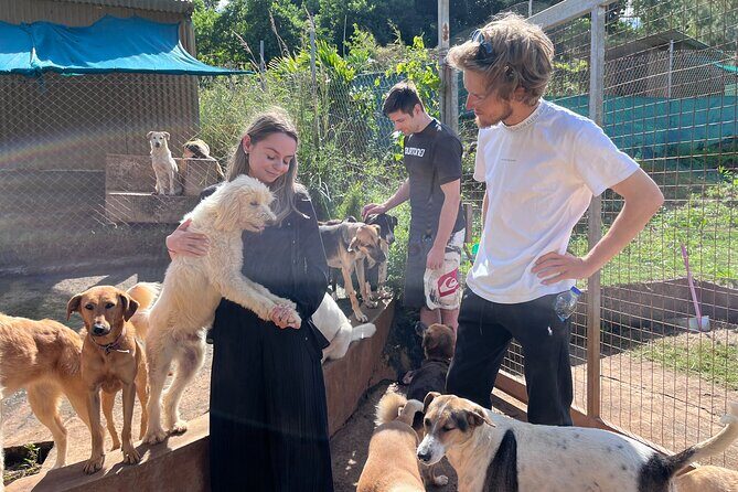 Dog Lover's guided tour of the Happy Tails Sanctuary - Key Points