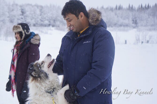 Dog Sled Adventure - Who This Tour is Perfect For