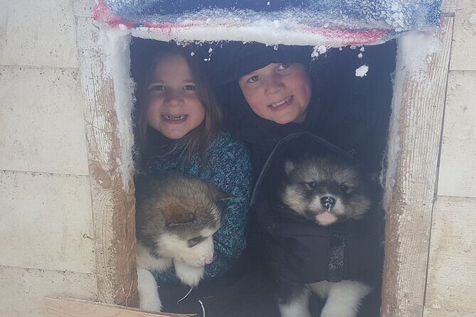 Dog Sled Adventure - FAQs
