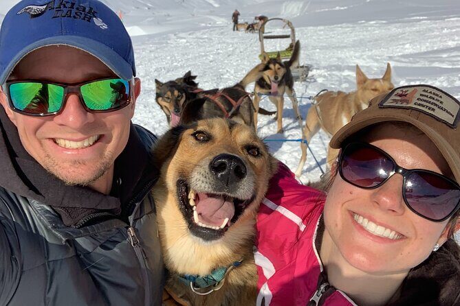 Dog Sledding Adventure in Willow, Alaska - An Authentic Look at the Willow Dog Sledding Tour