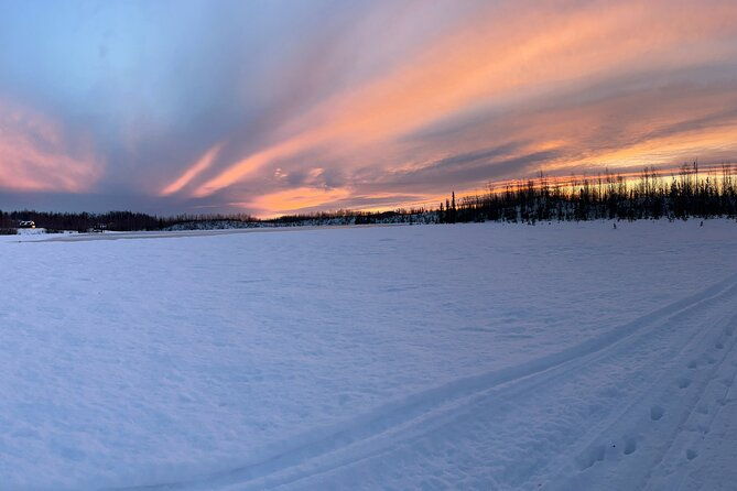 dog-sledding-with-alaskan-huskies
