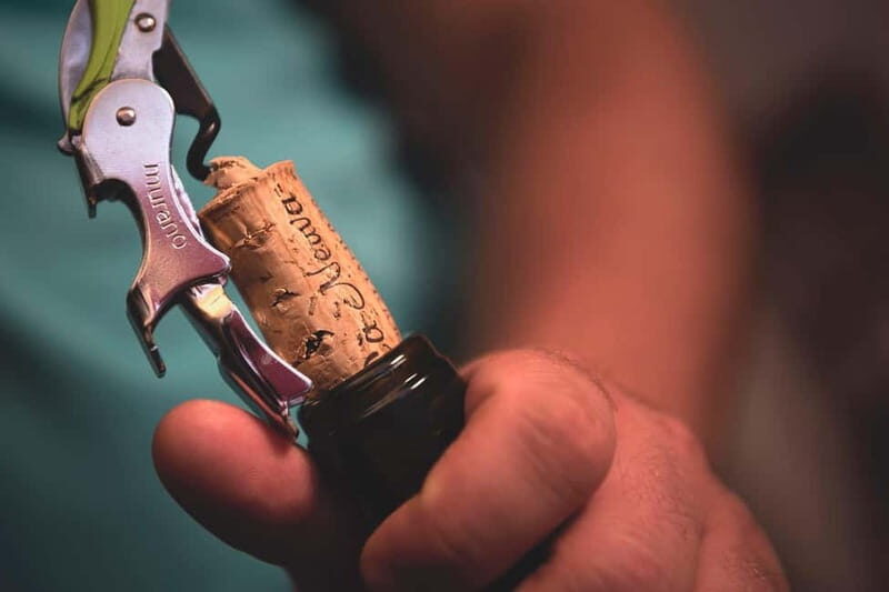 Dogliani: Tasting of 7 Wines in the Heart of the Langhe - An In-Depth Look at the Experience