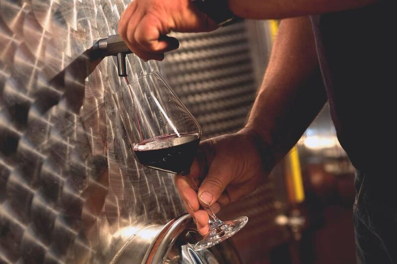 dogliani-tasting-of-7-wines-in-the-heart-of-the-langhe