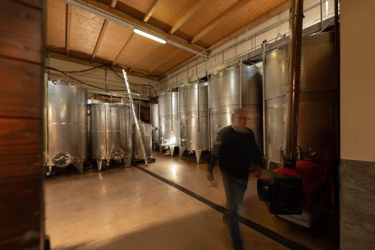 dogliani-tasting-of-7-wines-in-the-heart-of-the-langhe