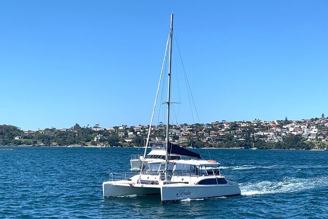 Dogs on Deck Harbour Cruise - Practical Details & Why They Matter