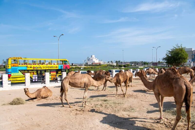 Doha: 24-Hour Hop-On Hop-Off Bus Ticket with Audio Guide - Key Points