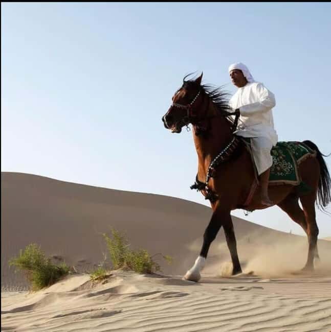 Doha: 3-Hour Desert Horse Riding Adventure with Transfers - Final Thoughts: Who Will Love This Tour?