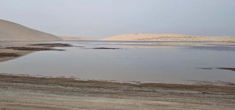 Doha: All inclusive Shared Desert Safari with Dune Bashing - What to Expect from Your Desert Safari