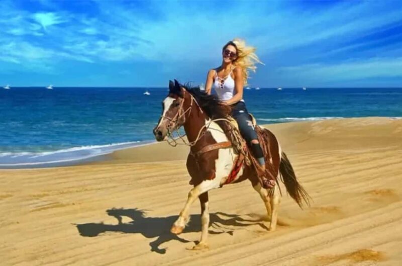 Doha : Arabian Horse Ride Experience With Transfer - Key Points