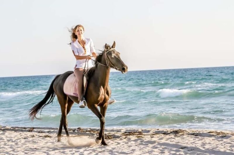 Doha : Arabian Horse Ride Experience With Transfer - An Authentic Ride Through Qatars Desert