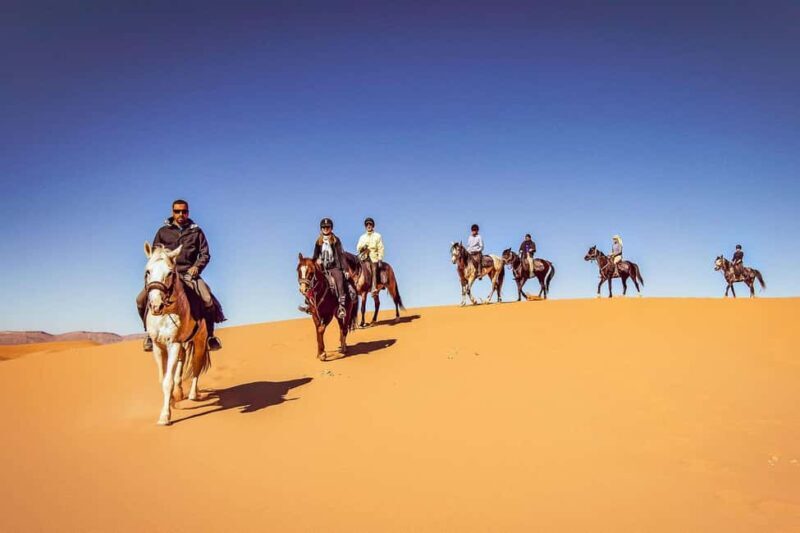 Doha : Arabian Horse Ride Experience With Transfer - The Value of Guided Horseback Riding in Qatar