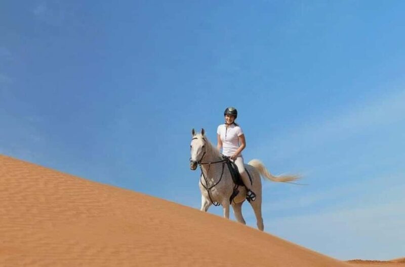 Doha : Arabian Horse Ride Experience With Transfer - The Sum Up